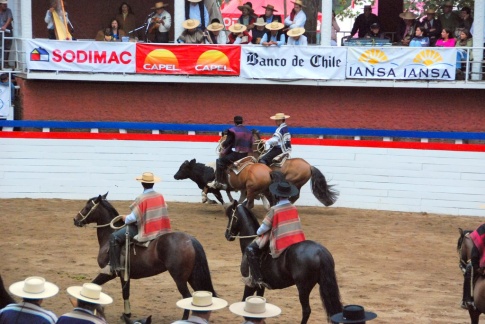 Chile - gauchos rodeo 28