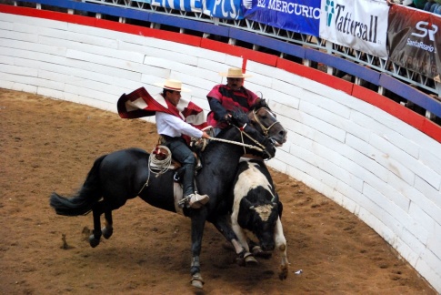 Chile - gauchos rodeo 29