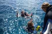 Solomon Islands- Michal diving