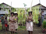 PNG - welcome in Mafuia