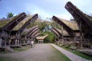 Toraja - houses 4