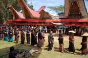 Toraja - a funeral 3