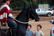 Chile - gauchos rodeo 16