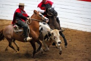 Chile - gauchos rodeo 25